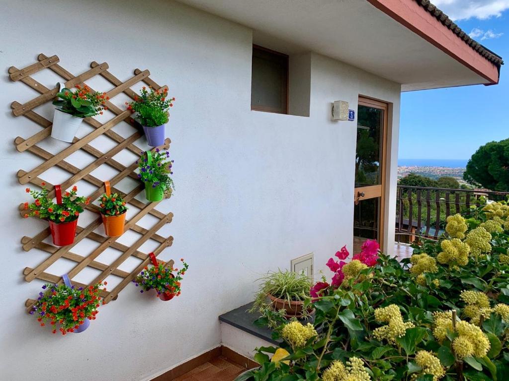 B&B Casa Di Antonio_Etna Vacanze Trecastagni Exterior foto
