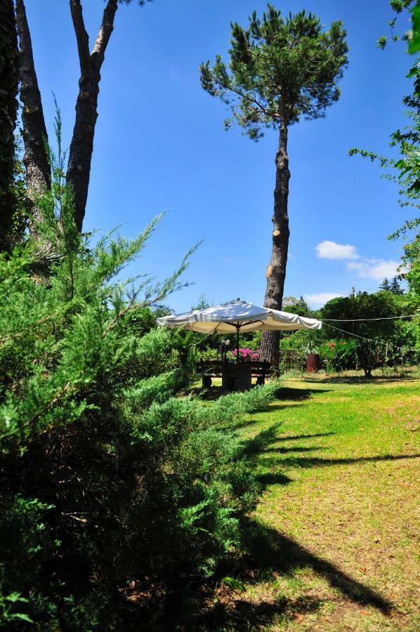 B&B Casa Di Antonio_Etna Vacanze Trecastagni Exterior foto