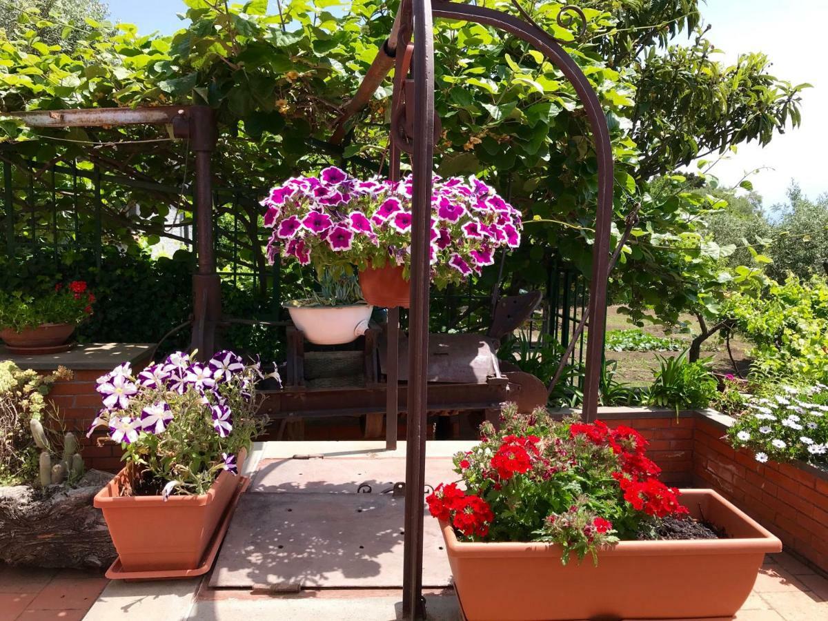B&B Casa Di Antonio_Etna Vacanze Trecastagni Exterior foto